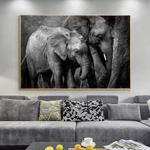 Black and White Africa Elephants Canvas Painting Posters and Prints Wild Animals Cuadros Wall Art Pictures for Living Room Decor 2024 - buy cheap
