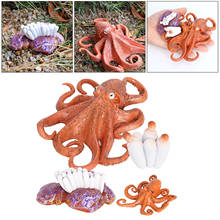 Life Cycle of a Octopus，Nature Insects Life Cycles Growth Model Game Prop，Simulation Insect Animal Natural Education Toy 2024 - buy cheap