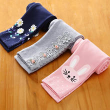 Girls Legging Kids autumn Spring Clothes Children Skinny Pants for Baby Girls Leggings bowties 2024 - buy cheap