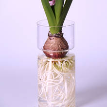 Прозрачная гиацинтовая стеклянная ваза MagiDeal, Креативный цветочный горшок «сделай сам», контейнер для террариума, декоративный художественный подарок, украшение для дома 2024 - купить недорого