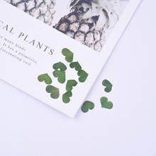 20pcs/0.8-1.5cm,Pressed flower petals mini green leaves,Nail Art Flora Gel Manicure Stickers DIY Bookmark,Flores Facial Decor 2024 - buy cheap