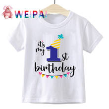 Novo crianças meninos meninas do aniversário verão t-shirts de manga curta t camisa tamanho 1 2 3 4 5 6 7 8 9 ano crianças roupas festa camisetas topos 2024 - compre barato