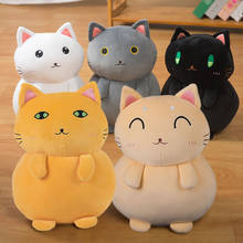 35cm New Plushie Lucky Cat Plush Animals Kawaii Stuffed Blessing Cat Lucky Soft Toys for Girls Kids Gifts Birthday Present 2024 - buy cheap