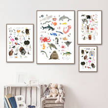 Pintura de tela para parede de pássaros, gato, urso, tubarão, alfabeto, pássaro, arte, decoração de quarto de crianças, poster e impressões nórdicas 2024 - compre barato