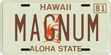 Placa de matrícula Hawaiana para decoración de pared, letreros de estaño Retro de Metal Vintage para casa, Bar, Pub, Club, hombre, 1980 2024 - compra barato