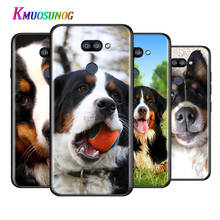 Animal Bernese Mountain Dog For LG K22 K71 K61 K51S K41S K30 K20 2019 Q60 V60 V50S V50 V40 V35 V30 G8 G8S G8X ThinQ Phone Case 2024 - buy cheap