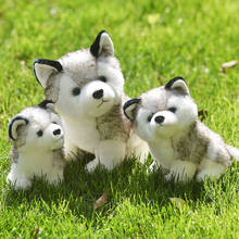 Juguetes de peluche para cachorros Kawaii, simulación de perro Husky, muñeco de peluche para niños, muñecos de peluche Husky M068 2024 - compra barato