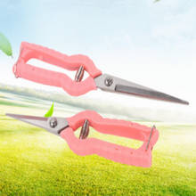 Garden Cutter Gardening Bonsai Tools Grass Flower Shears Secator Grafting pruner Hand Pruner Tool new 2024 - buy cheap