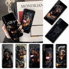 Capa de celular para samsung galaxy, rottwitter, cachorro, a 3, 6, 7, 8, 10, 20, 30, 40, 50, 70, 71, 10s, 20s, 30s, 50s plus 2024 - compre barato