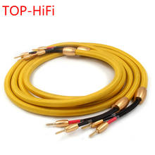 TOP-HiFi par Accuphase 40th Cable de altavoz de Audio Cable de altavoz 24k chapado en oro enchufe Banana para sistemas Hi-fi 2024 - compra barato