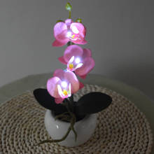 Led flowerpot luz botão bateria-powered branco rosa phalaenopsid decoração do feriado lâmpada para o casamento casa quarto varanda decoração 2024 - compre barato