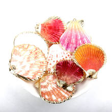 Gold Plated Natural Sector White Colorful Sea Shells for DIY handmade charms Jewelry Craft Decoration 5pcs 2024 - buy cheap