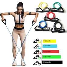 5 Levels  Elastic Band With Handles Yoga Pull Rope Elastic Gym Fitness Exercise Tube Band For Home Workouts Strength Training 2024 - buy cheap