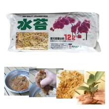 2 упаковки, Sphagnum Moss Garden Bonsai, питание, органическое удобрение для орхидеи, фаленопсис, мусго, Sphagnum, цветочные Садовые принадлежности 2024 - купить недорого