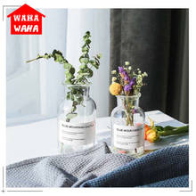 Vaso de vidro transparente nórdico, recipientes de terrário hidropônico, vaso de flores, buquê de flores, mesa de sala de estar, decoração 2024 - compre barato