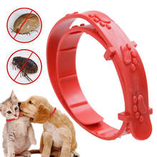 Collar antipulgas para perros y gatos, herramienta para el cuidado de las pulgas, correa para el cuello, a la moda 2024 - compra barato