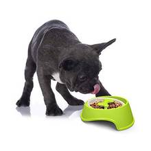 Pet Slow Feeder Dog Cat Training Food Bowl Puppy Kitten Feeding Avoid Choke Feeder Prevent From Choking Eating Too Fast 2024 - buy cheap