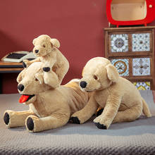 25-70cm Cute Labrador Dog Toys Kawaii Animal Dolls Stuffed Soft Golden Retriever Pillow Birthday Gifts for Children Girl Boys 2024 - buy cheap
