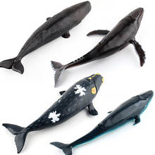 Baleia de borracha macia modelo animal figura de ação mar animal figuras de ação coleção crianças brinquedo cognitivo 2024 - compre barato