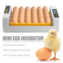 24 Eggs Automatic Egg Turning Large Capacity Practical  Mini Incubator For Chicken Poultry Quail Turkey Eggs Home Use 2024 - buy cheap