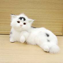 simulation cat decoration animal model toy animal kitten toy cute doll home decorations furnishings crafts early education prop 2024 - buy cheap