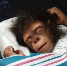 Kit de muñecas reborn monkey orangutanes realista artista hecho sin paitar piezas de muñeca en blanco 2024 - compre barato