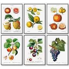 Quadros vintage de frutas, uva, pêssego, tela, impressão, poster artístico, quadros antigos, arte para parede, pinturas para decoração de casa 2024 - compre barato