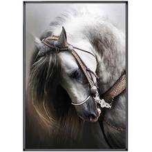 Andalusian Horse Animal Embroidery Needlework Crafts14CT Counted Unprinted DIY Cross Stitch Kits Handmade Arts Wall Decor 2024 - buy cheap