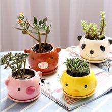 Succulent Plant Pot Cute Animal Flower Planter Flowerpot  Lovely Little Animals Home Garden Bonsai Pots 2024 - buy cheap