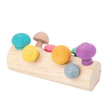 Early Childhood Education Cognition Finger Fine Motor Spelling Mushroom Toys Wooden Games Children Educational Toys 2024 - buy cheap