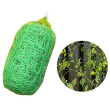 2*10M Plant Vines Climbing Net Garden Fence Mesh Tomatoes Trellis Netting Vine Plant Support Netting Strong And Durable 2024 - buy cheap