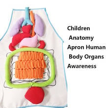 Детский фартук для раннего обучения, моющийся, для внутренних органов, для обучения, фартук-пазл, фартук для защиты окружающей среды для детей 2024 - купить недорого