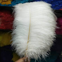 15-75CM 6-30inch All Size 10Pcs White Ostrich Feathers For Crafts Carnival Party Halloween Wedding Decorations Jewelry plumes 2024 - buy cheap