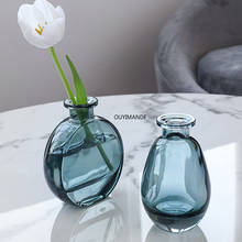 Florero de vidrio transparente para decoración del hogar, botella de vidrio pequeña para planta hidropónica, para sala de estar, jarrones de flores secas 2024 - compra barato