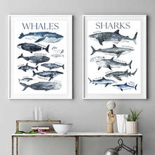 Watercolor Whale Print Nursery Wall Art Canvas Painting Shark Poster Beach Nautical Wall Picture Decor Kids Room Wall Decoration 2024 - buy cheap