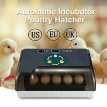 Egg Incubator Digital Fully Automatic 12 Eggs Poultry Hatcher for Chickens Ducks KSI999 2024 - buy cheap