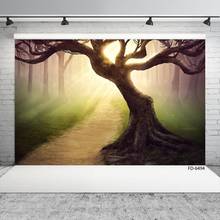 Dry Grove Sunshine Footpath Photo Background Vinyl Cloth Backdrop Photography Props for Children Baby Portrait Pets Photobooth 2024 - buy cheap