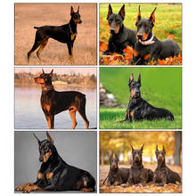 5d diy pintura de diamante completo quadrado redondo broca cães doberman feroce diamante bordado animal ponto cruz kit de mosaico decoração presente 2024 - compre barato