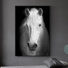 Animais selvagens cavalo branco preto fundo da lona posters e cópias decoração da lona quadros da arte da parede fotos para decoração de casa 2024 - compre barato