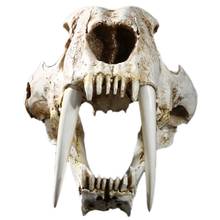 1:1 Size American Ancient Animals Saber Tooth Cat Tiger Skull Sabertooth Smilodon Fatalis Specimen Model Animal Skeleton Model 2024 - buy cheap