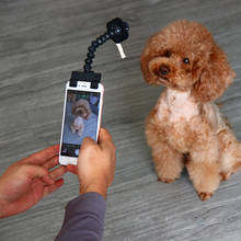 Pet Selfie Stick for Dogs Cat photography tools Pet Interaction Toys Concentrate Training Supplies Dog Accessories Drop Shipping 2024 - buy cheap