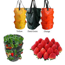 3 Gallon Strawberry Plant Grow Bag Garden Hanging Flower Outdoor Tomato Container Multi-mouth Bags Plant Pot Garden Supplies 2024 - buy cheap