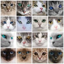 Huacan pintura de diamante olho de gato 5d, faça você mesmo, ponto cruz quadrado, bordado, artesanato, decoração de casa 2024 - compre barato