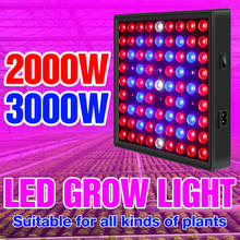 2000W 3000W LED Plant Light 220V Greenhouse LED Quantum Board Phyto Lamp For Flower Seed Cultivate Fitolamp 2835 Growing Light 2024 - buy cheap
