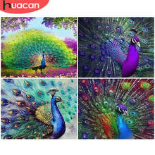 HUACAN-pintura por número de animales DIY, kit de pintura de pavo real pintado a mano, dibujo sobre lienzo, decoración del hogar, regalo artístico 2024 - compra barato