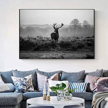 Pintura em tela preto branco veados poster animais selvagens arte escandinavo cartazes e impressões de parede para sala de estar cuadros 2024 - compre barato