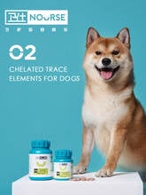 NOURSE trace element dog pet Teddy Bichon puppies anti-exotic food gnawing soil eating shit eating grass 400 tablets 2024 - buy cheap
