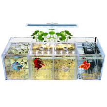 Betta изолирующая коробка для разведения рыбы, акриловый прозрачный аквариум для маленьких рыб, украшение стола 2024 - купить недорого