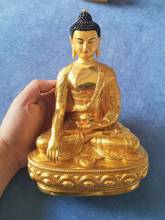 Estatua de latón para el hogar, estatua de budismo tibetano dorado, Sakyamuni FO ZU, de 21CM, protección efectiva para la familia, Buda Amitabha 2024 - compra barato