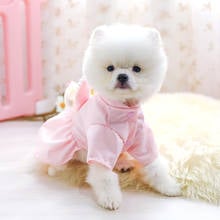 Pomeranian Dress Cat Dog Clothes Spring Autumn Winter Pet Clothing Princess Skirt Yorkshire Poodle Bichon Schnauzer Costume XS 2024 - buy cheap